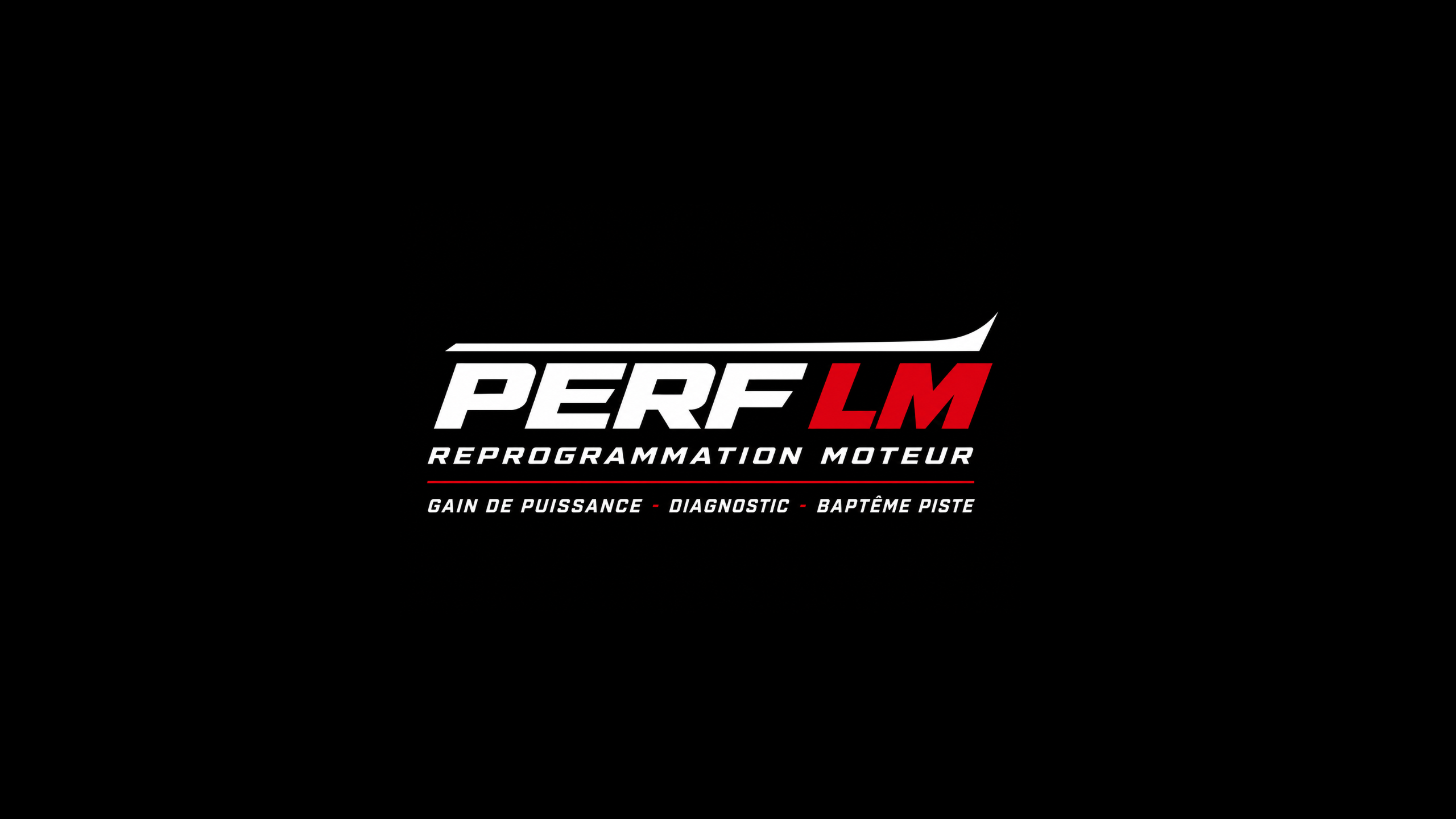 PerfLM